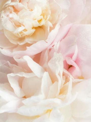 RHÉA Baby Shampoo - Shampoing Doux Bébé 400ml / 13,53 fl oz